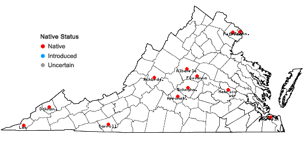 Locations ofCarex retroflexa Muhl. ex Willd. var. texensis (Torr.) Fern. in Virginia