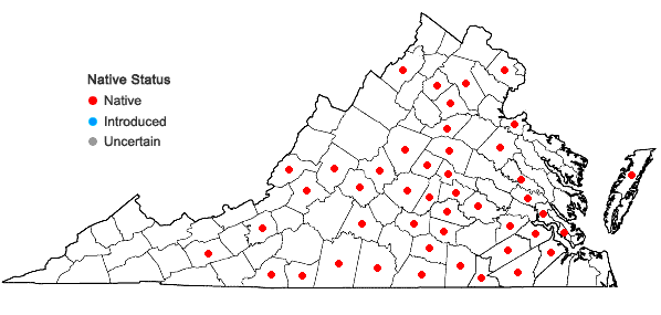 Locations ofCarex reznicekii Werier in Virginia