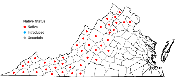 Locations ofCarex scabrata Schweinitz in Virginia