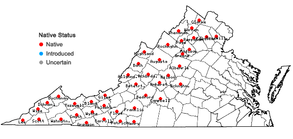 Locations ofCarex scabrata Schweinitz in Virginia