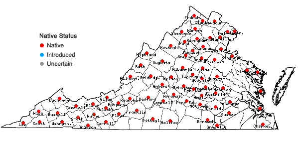 Locations ofCarex scoparia Schk. ex Willd. in Virginia