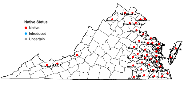 Locations ofCarex seorsa Howe in Gordinier & Howe in Virginia