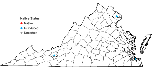 Locations ofCarex spicata Hudson in Virginia