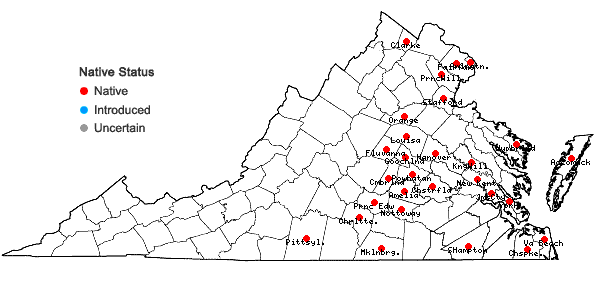 Locations ofCarex stipata Muhl. ex Willd. var. maxima Chapman ex Boott in Virginia