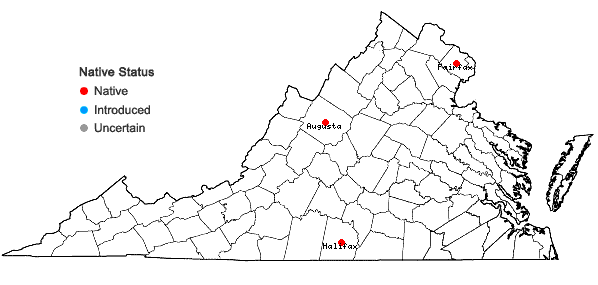 Locations ofCarex straminea Willd. in Schk. in Virginia