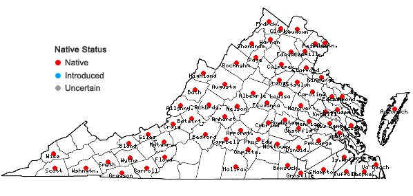 Locations ofCarex stricta Lam. in Virginia