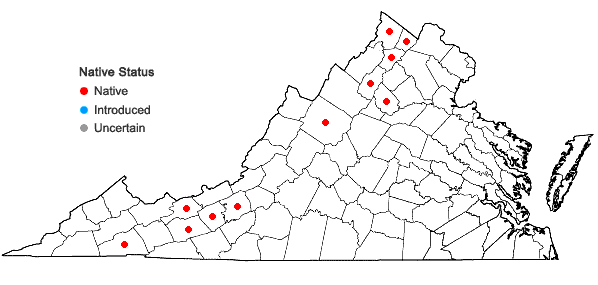 Locations ofCarex suberecta (Olney) Britton in Virginia