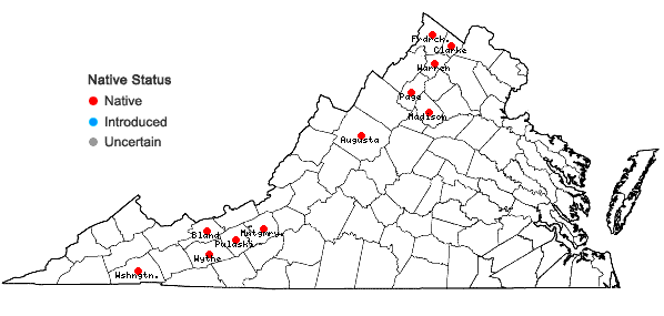 Locations ofCarex suberecta (Olney) Britton in Virginia