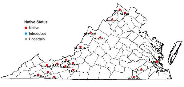 Locations ofCarex tetanica Schkuhr in Virginia