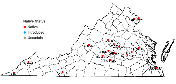 Locations ofCarex texensis (Torr.) Bailey in Virginia
