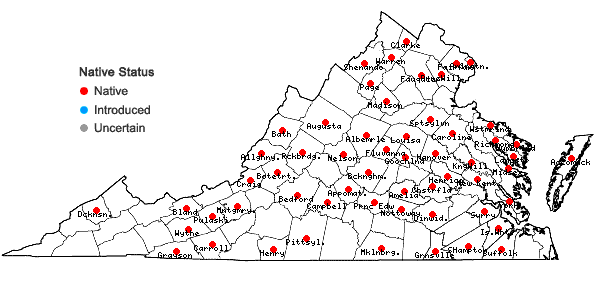 Locations ofCarex tonsa (Fernald) Bicknell in Virginia