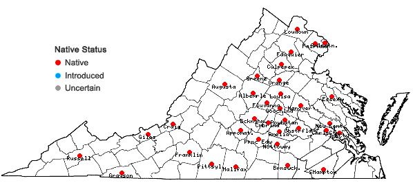 Locations ofCarex umbellata Schk. ex Willd. in Virginia