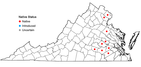 Locations ofCarex vestita Willd. in Virginia