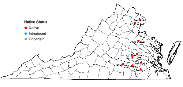 Locations ofCarex vestita Willd. in Virginia