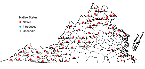 Locations ofCarex virescens Muhl. ex Willd. in Virginia