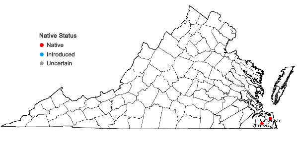 Locations ofCartrema americana (L.) Raf. in Virginia