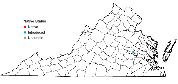 Locations ofCarum carvi L. in Virginia