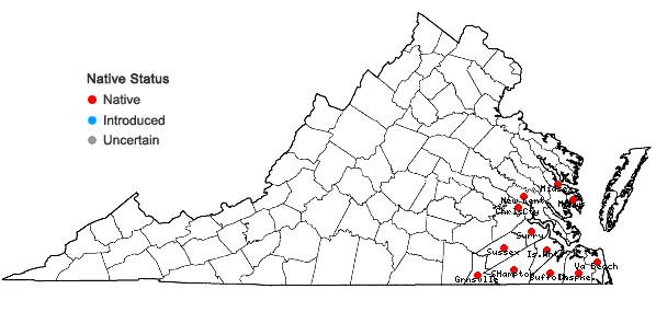 Locations ofCarya aquatica (Michx.f.) Nutt. in Virginia