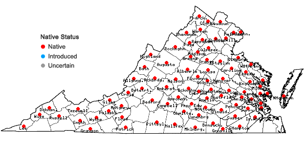 Locations ofCarya cordiformis (Wangenh.) K. Koch in Virginia