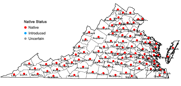 Locations ofCarya glabra (P. Miller) Sweet in Virginia