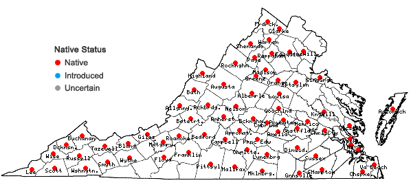 Locations ofCarya ovata (P.Mill.) K. Koch in Virginia