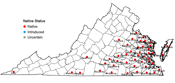 Locations ofCarya pallida (Ashe) Engl. & Graebn. in Virginia