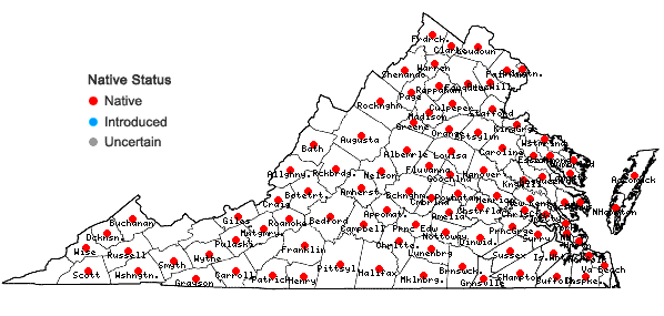 Locations ofCarya tomentosa (Poir.) Nutt. in Virginia