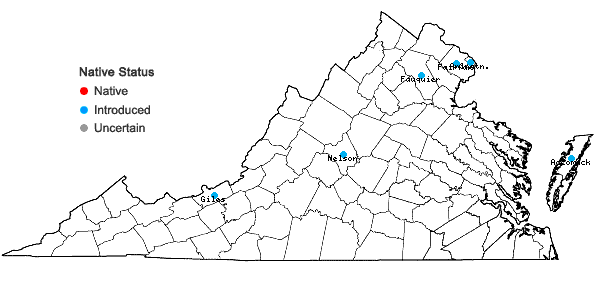 Locations ofCastanea mollissima Blume in Virginia