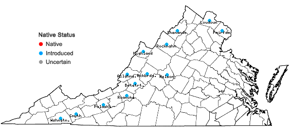 Locations ofCatalpa bignonioides Walt. in Virginia