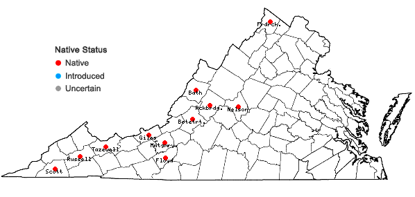 Locations ofCaulophyllum giganteum (Farw.) Loconte & Blackwell in Virginia