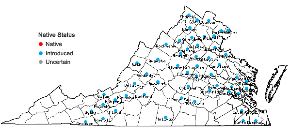 Locations ofCelastrus orbiculatus Thunb. in Virginia