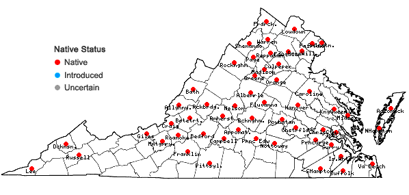 Locations ofCeltis pumila Pursh in Virginia
