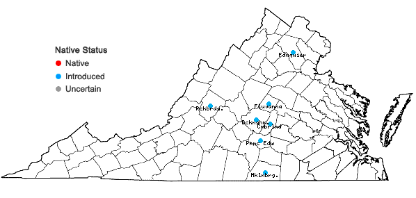 Locations ofCenchrus americanus (L.) Morrone in Virginia