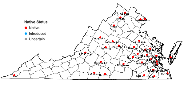 Locations ofCenchrus longispinus (Hack.) Fern. in Virginia