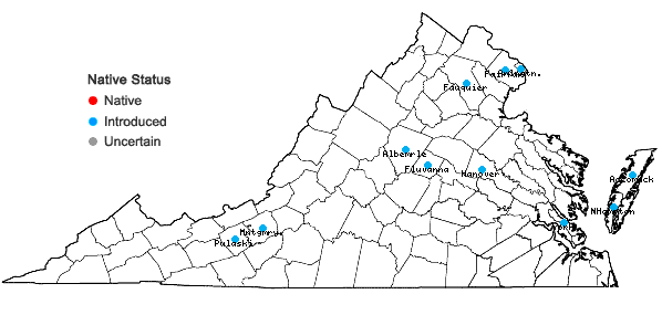 Locations ofCenchrus purpurascens Thunb. in Virginia