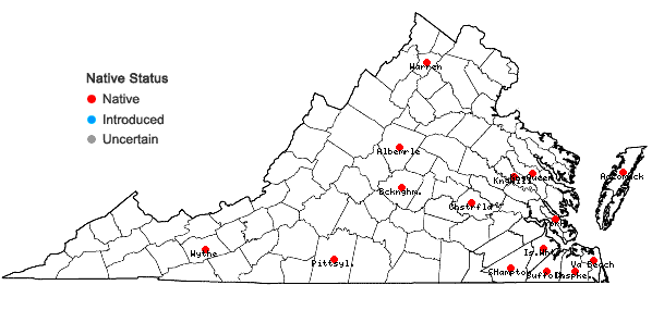 Locations ofCenchrus spinifex Cav. in Virginia