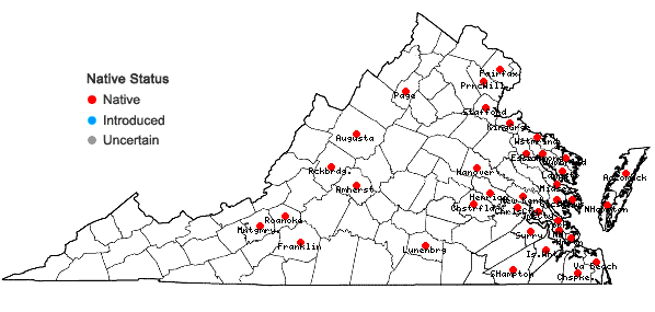 Locations ofCenchrus tribuloides L. in Virginia