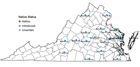 Locations ofCentaurea benedicta (L.) L. in Virginia