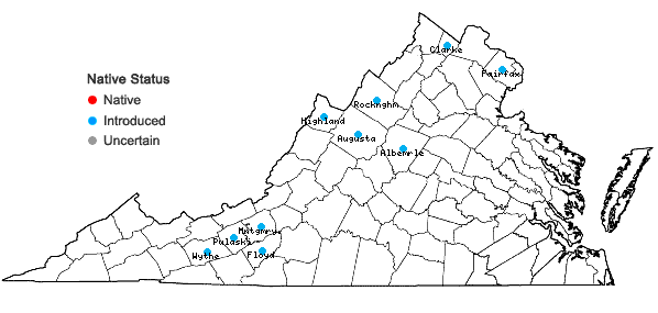Locations ofCentaurea jacea L. in Virginia
