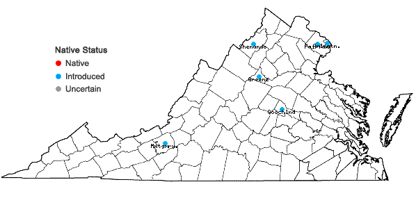 Locations ofCentaurea solstitialis L. in Virginia