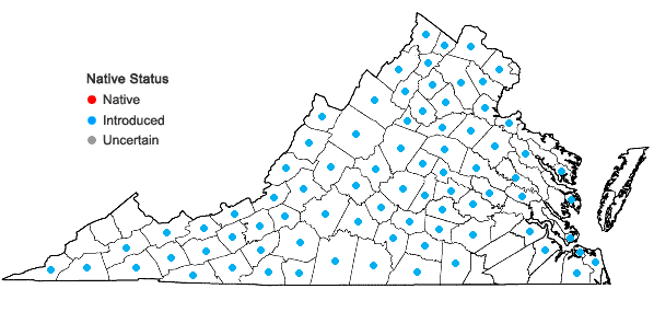 Locations ofCentaurea stoebe L. ssp. micranthos (S.G. Gmelin ex Gugler) Hayek in Virginia