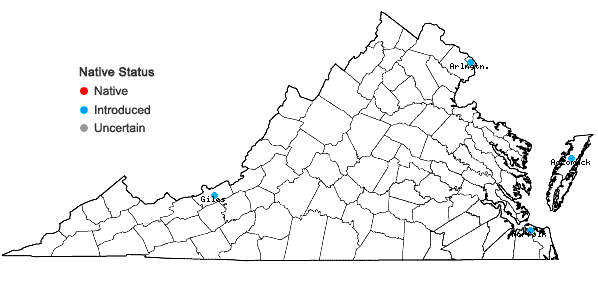 Locations ofCentaurium erythraea Raf. in Virginia
