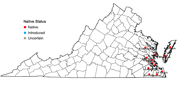 Locations ofCentella erecta (L. f.) Fern. in Virginia