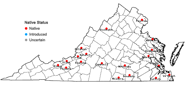 Locations ofCephaloziella divaricata (Sm.) Schiffn. in Virginia