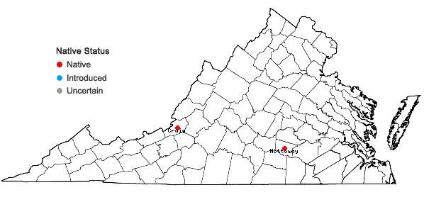 Locations ofCephaloziella divaricata (Sm.) Schiffn. var scabra (Howe) Haynes in Virginia