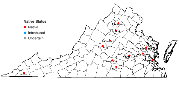 Locations ofCephaloziella hampeana (Nees) Schiffn. ex Loeske in Virginia