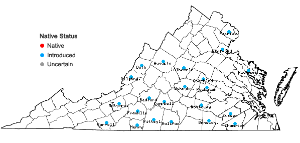 Locations ofCerastium brachypetalum Pers. in Virginia
