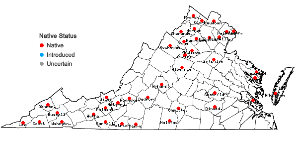 Locations ofCerastium nutans Raf. in Virginia