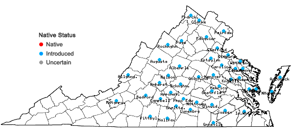 Locations ofCerastium semidecandrum L. in Virginia