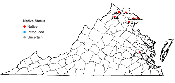 Locations ofCerastium velutinum Raf. var. velutinum in Virginia